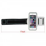 Wholesale Apple iPhone 6 Plus 5.5 Sports Armband (Silver)